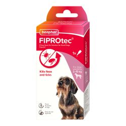 Flea Treatment
