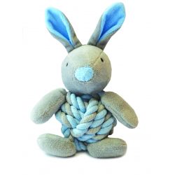 Little Rascal Bunny