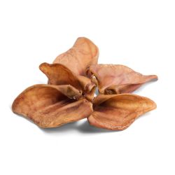 Pig Ears