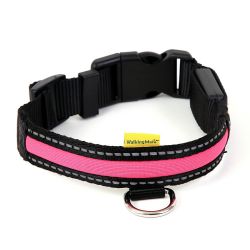Animate Led Usb Collar Pink