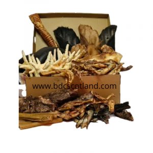 Medium munchie box